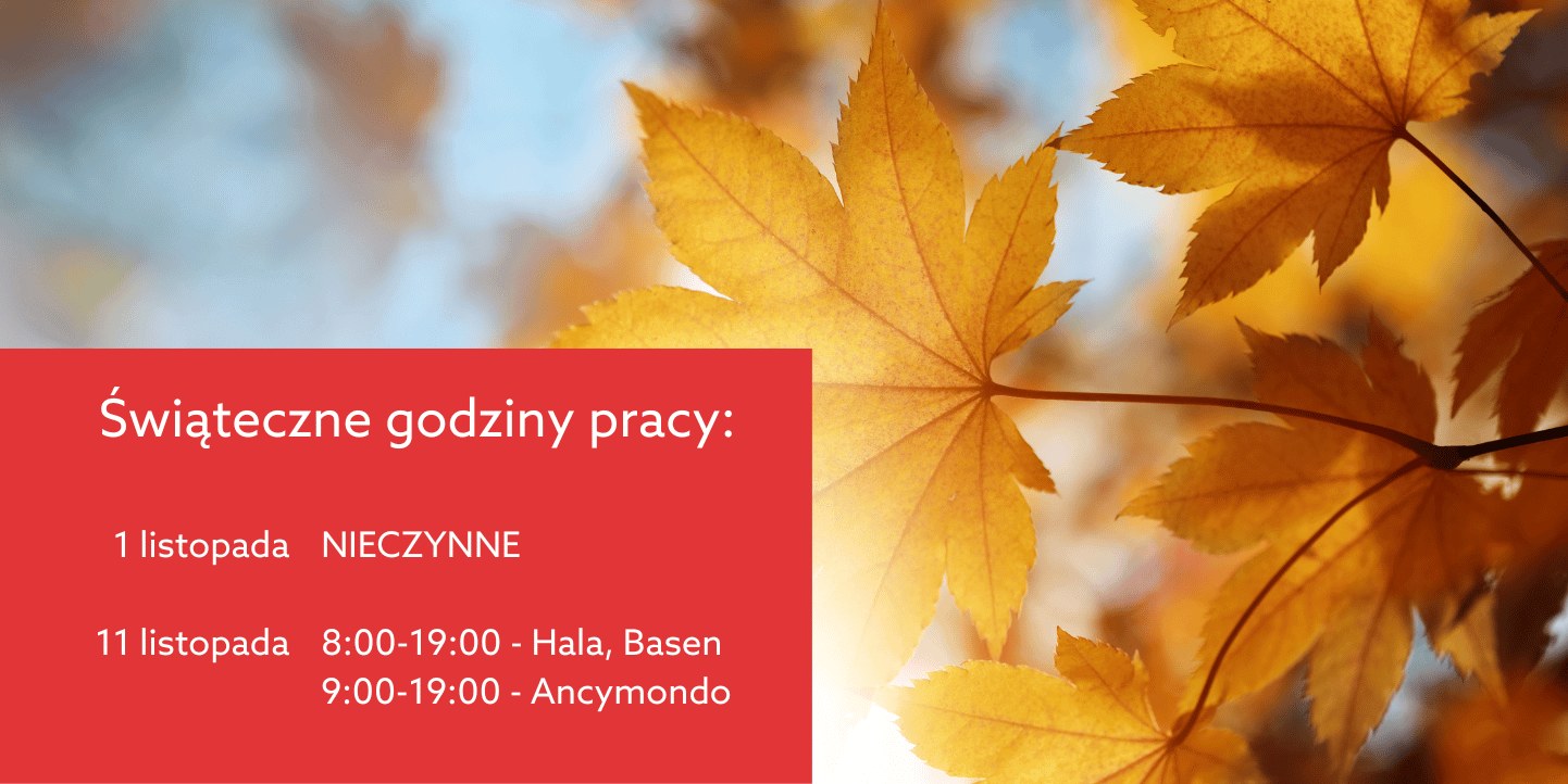 1 listopada - godziny otwarcia